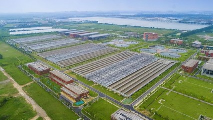聚焦綠色生態發展 武漢控股與中南電力設計院簽訂分布式光伏電力合作框架協議